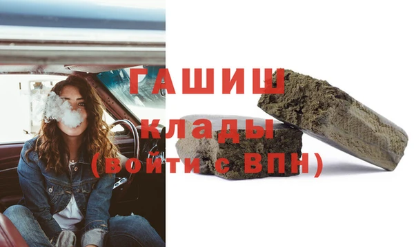 стаф Алзамай