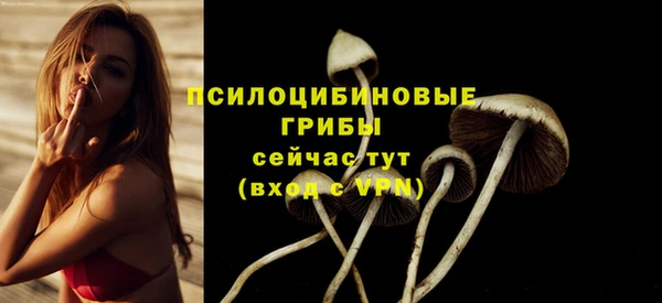 стаф Алексин