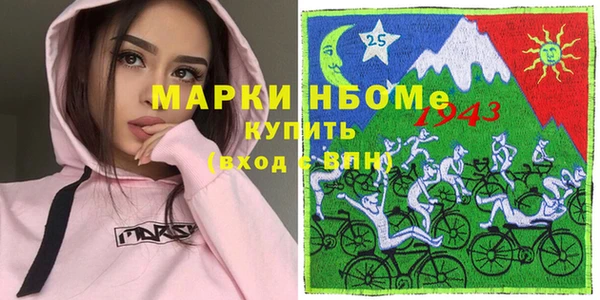 стаф Алексин