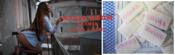 стаф Алзамай