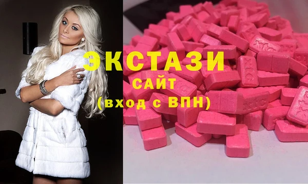 стаф Алексин