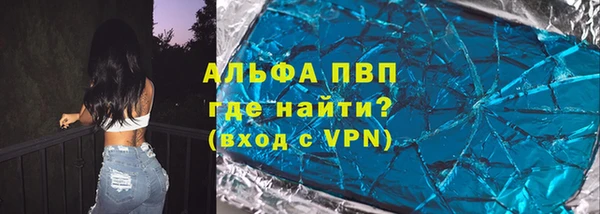 стаф Алексин